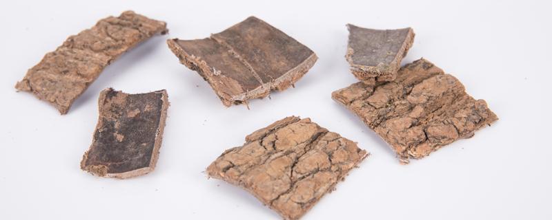 杜仲炖猪蹄的功效和食用方法 杜仲炖猪蹄可去风湿吗