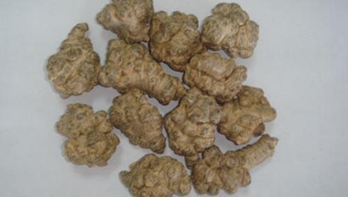 什么中药煲汤比较合适（哪些中药适合煲汤）