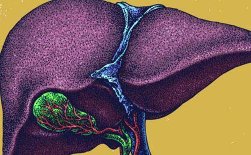 急性肝衰竭的症状 急性肝衰竭是怎么回事