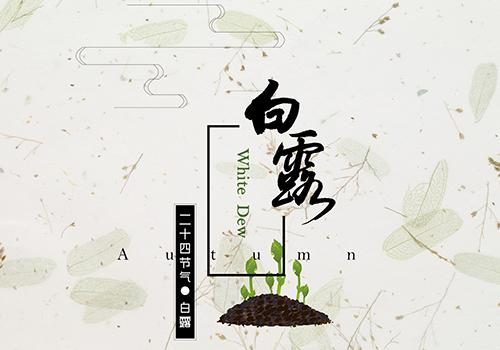 白露热不热（白露天气热不热）