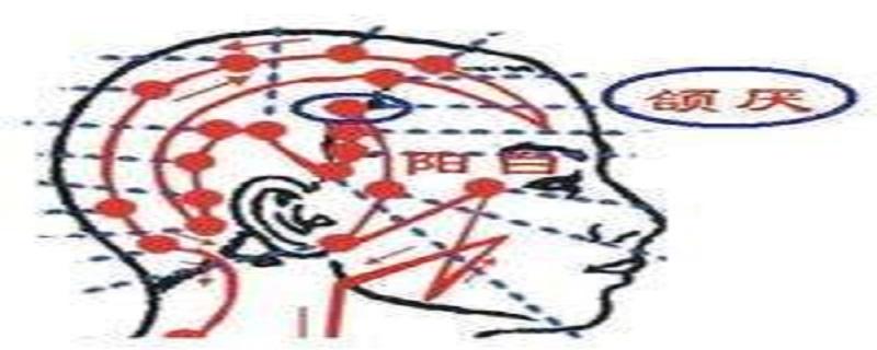 颔厌的位置和作用(颔是指哪个部位)