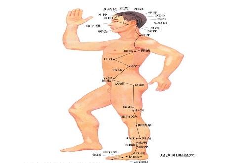 足少阳胆经的准确位置图 足少阳胆经的准确位置图和作用高清图