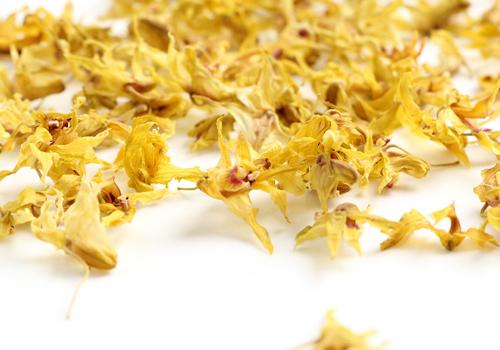 铁皮石斛花的功效（铁皮石斛花的功效与禁忌）