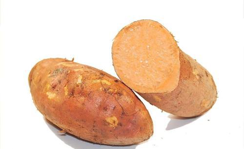 吃什么食物养胃（胃不好的人吃什么食物养胃）