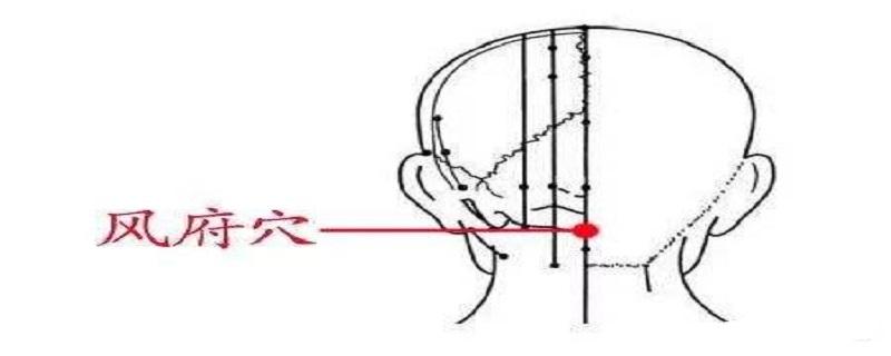 风府是什么经络 风府 经络