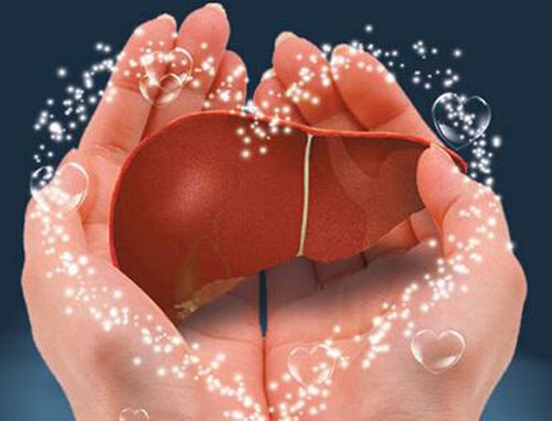 如何养护肝脏（如何养护肝脏脾脏）