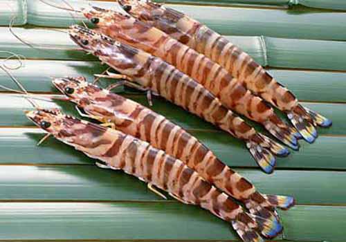 骨关节炎不能吃什么(骨关节炎能不能吃)