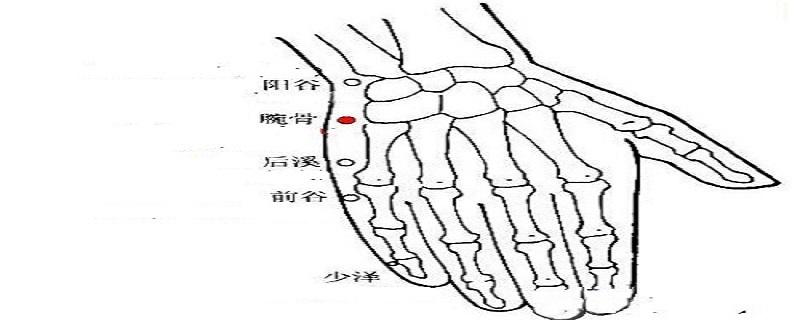 前谷的作用是什么（前谷的位置）