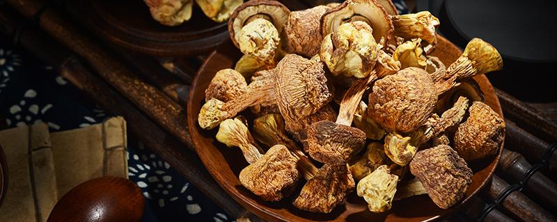 菌类吃多了会胖吗 菌类吃多了会胖吗还是会瘦