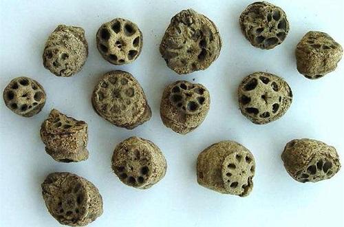 藕节的营养价值