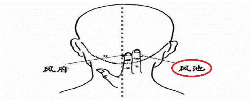风池怎么找最简便 风池的准确位置图片快速找法