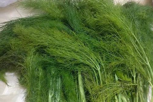 茴香的营养价值