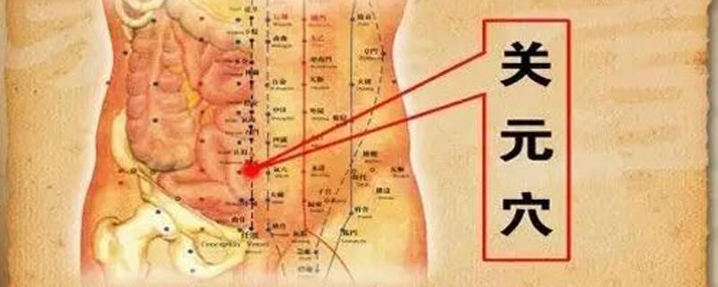 关元的准确位置图和作用（关元的准确位置图和作用按摩方法）