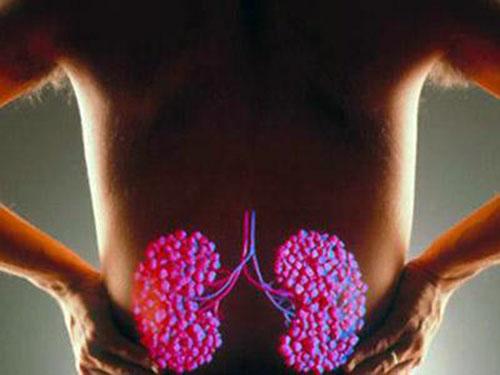 冬季吃什么补肾最好（冬季补肾吃啥最好）