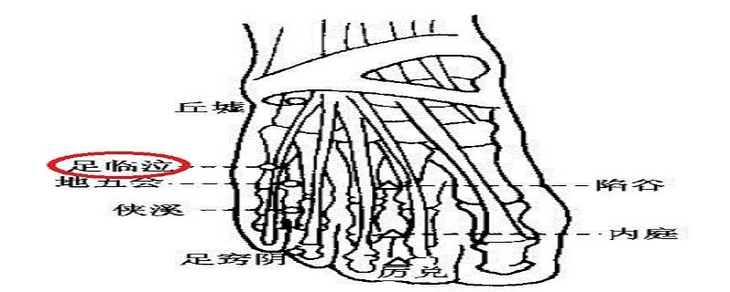 足临泣的具体位置（足临泣的位置及作用）