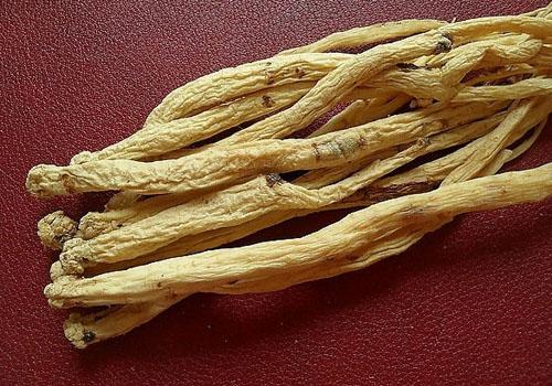 白血病食疗方法有哪些 白血病食疗偏方大全