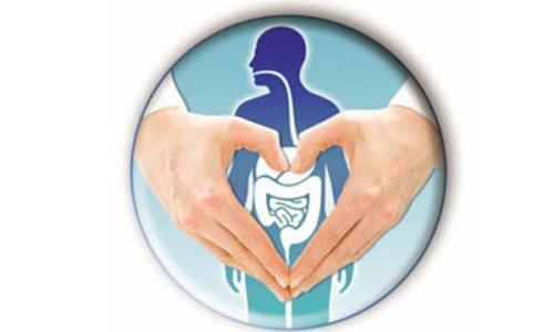 保养肠胃的方法 肠胃的日常保养