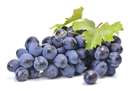 夏天坐月子吃什么水果(夏天坐月子吃什么水果合适)