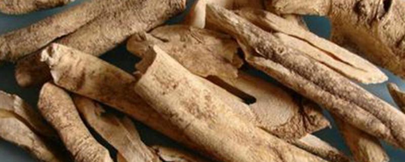 土槿皮酊的功效与作用 土槿皮酊的功效与作用用量