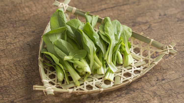 鸡毛菜的功效与作用（鸡毛菜的功效与作用、禁忌和食用方法）