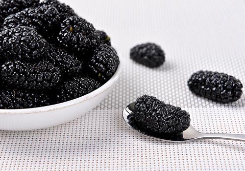 桑葚干怎么吃最有效(桑葚干怎样吃最有效)