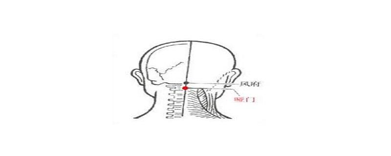 哑门的准确位置如何寻找 哑门的准确位置及作用