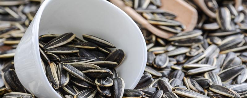 香瓜子的功效与作用 香瓜子的功效与作用及食用方法