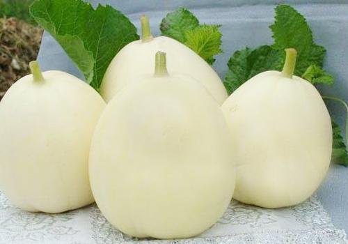 甜瓜吃了上火吗（甜瓜吃了会不会上火）