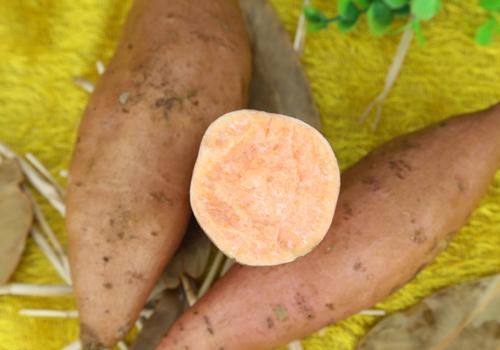 红薯有什么营养价值 没想到红薯的营养价值居然这么高