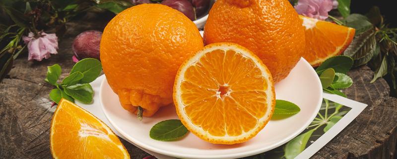 丑橘可以煮熟吃吗 丑橘可以加热吃吗