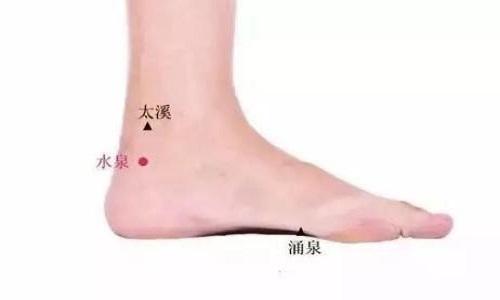 水泉的准确位置图片 水泉的准确位置图和作用