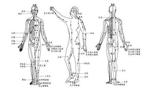 十二经络运行时间（十二经络运行时间与养生）
