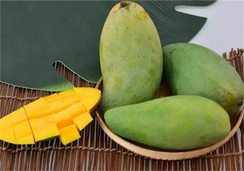 芒果吃多了会上火吗 小孩芒果吃多了会上火吗