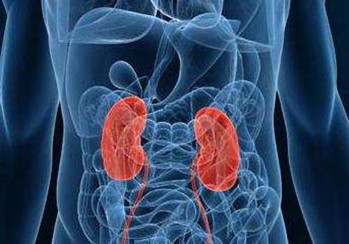 肾脏不好的症状 痛风引起肾脏不好的症状