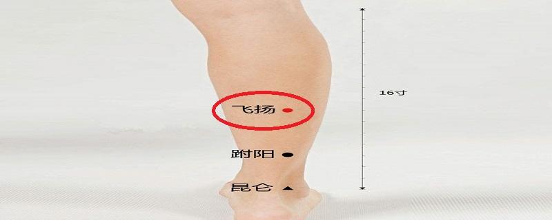 飞扬穴位置怎么找 飞扬的意思是什么