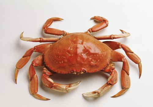 吃螃蟹会推迟月经吗(吃螃蟹会推迟月经吗女生)