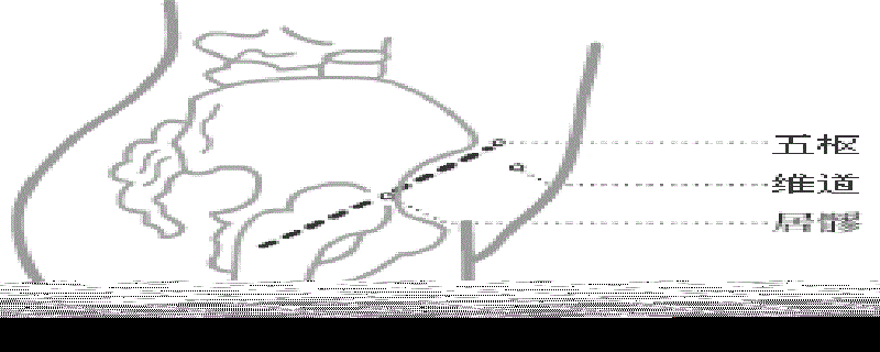 维道准确位在哪个位置（维道的准确位置和作用）