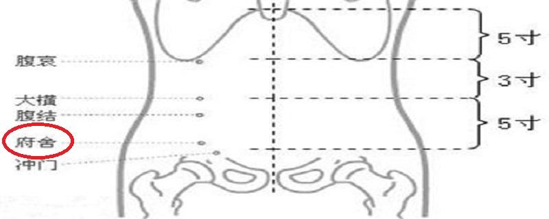 府舍是什么意思 府第的意思是什么