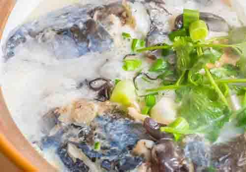 吃鲢鱼有什么好处 吃鲢鱼的好处