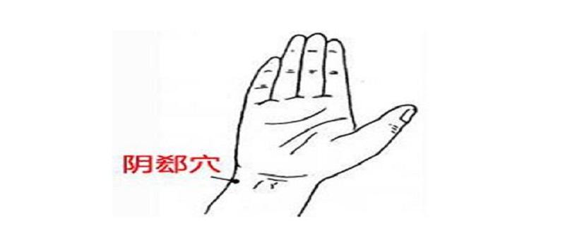 阴郄的位置图和作用(阴郄的定位主治)