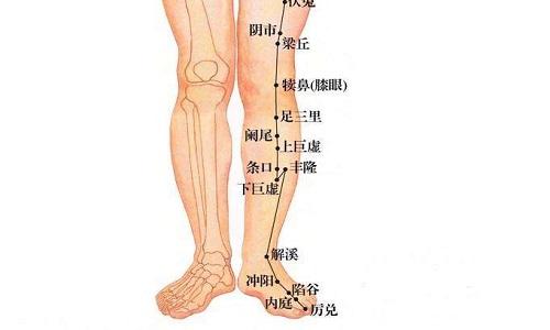 陷谷准确位置图和作用 陷谷的准确位置图