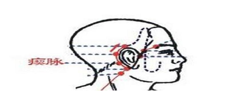 瘈脉的准确位置（瘈脉的准确位置和作用）