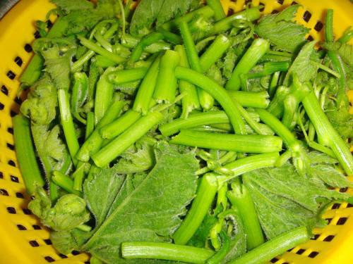 吃南瓜藤有什么好处 南瓜藤怎么吃