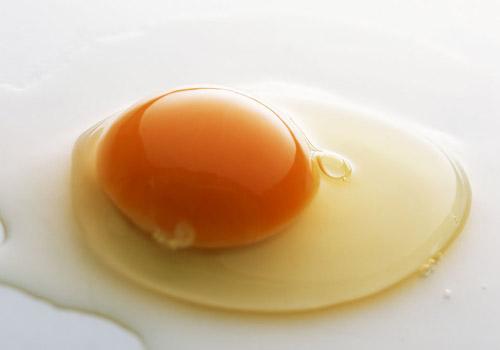 吃鸡蛋有什么作用(吃鸡蛋有什么作用吗?)