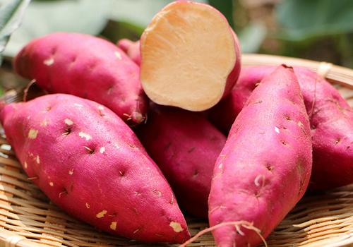 为什么吃红薯能减肥 红薯怎么吃才减肥