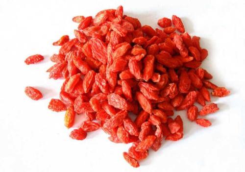 枸杞和什么一起泡水喝最好 枸杞的分辨妙招