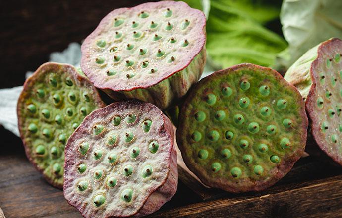 莲蓬能不能泡水喝 莲蓬可以泡开水喝吗