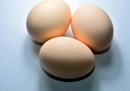 鸡蛋的功效与作用(鸡蛋的功效与作用的功能与主治)