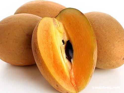 孕妇可以吃人心果吗(孕妇能吃人心果吗)