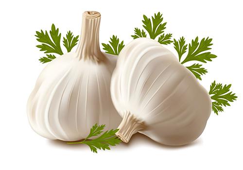 大蒜加醋泡脚的功效 大蒜加醋泡脚的功效作用